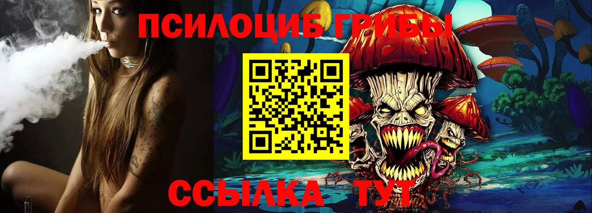 Псилоцибиновые грибы Psilocybine cubensis Первоуральск