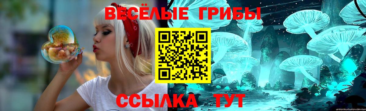 Первоуральск  Галлюциногенные грибы прущие грибы  Вход с VPN  Псилоцибиновые грибы мухоморы 